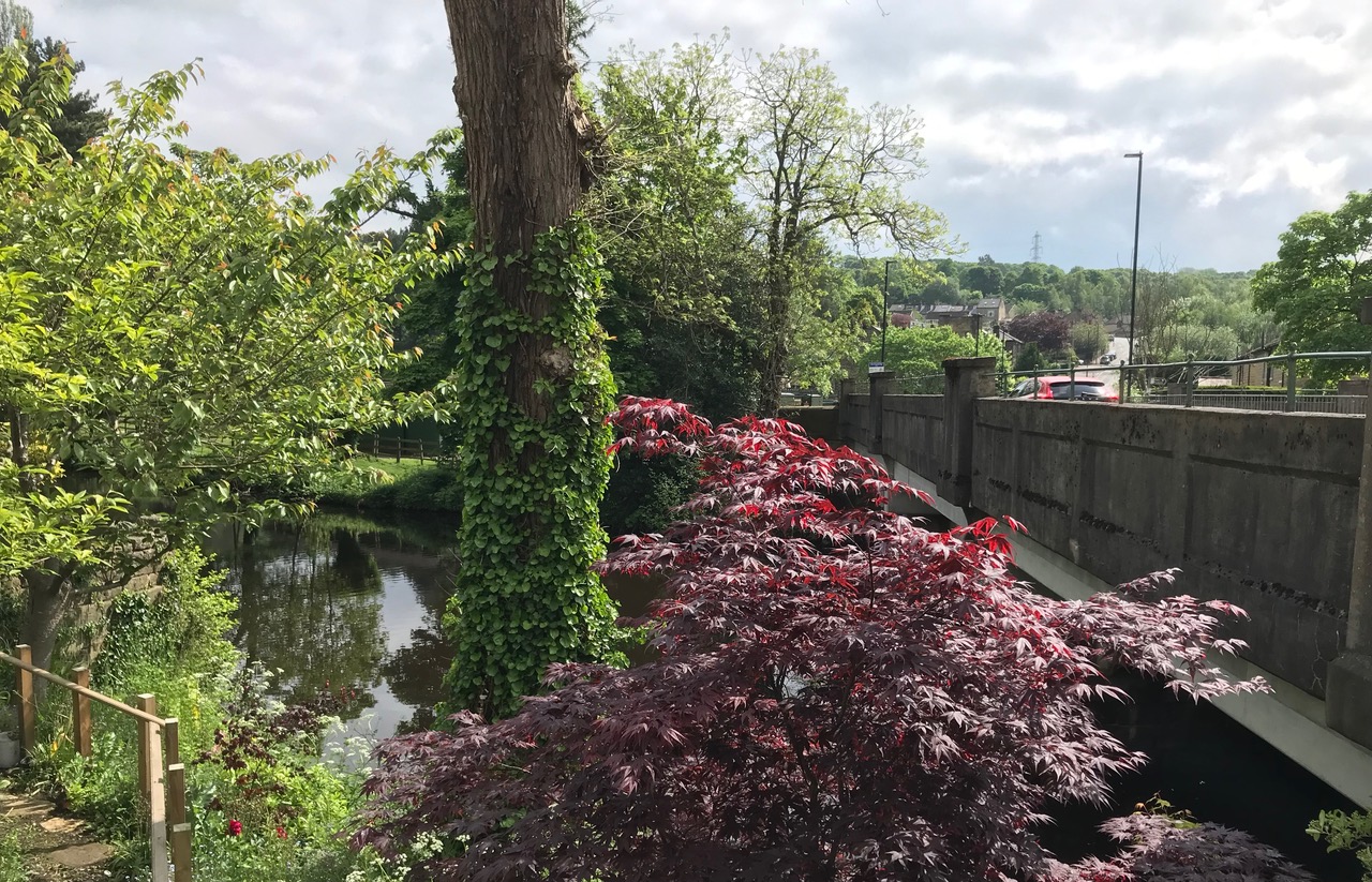 Fwd: Chris – Oughtibridge			
					</div><!-- .entry-content -->
		
		<footer>
		
		
		
					
					</footer><!-- .entry-meta -->
	</article><!-- #post -->
				
											
				
		
<hr class=
