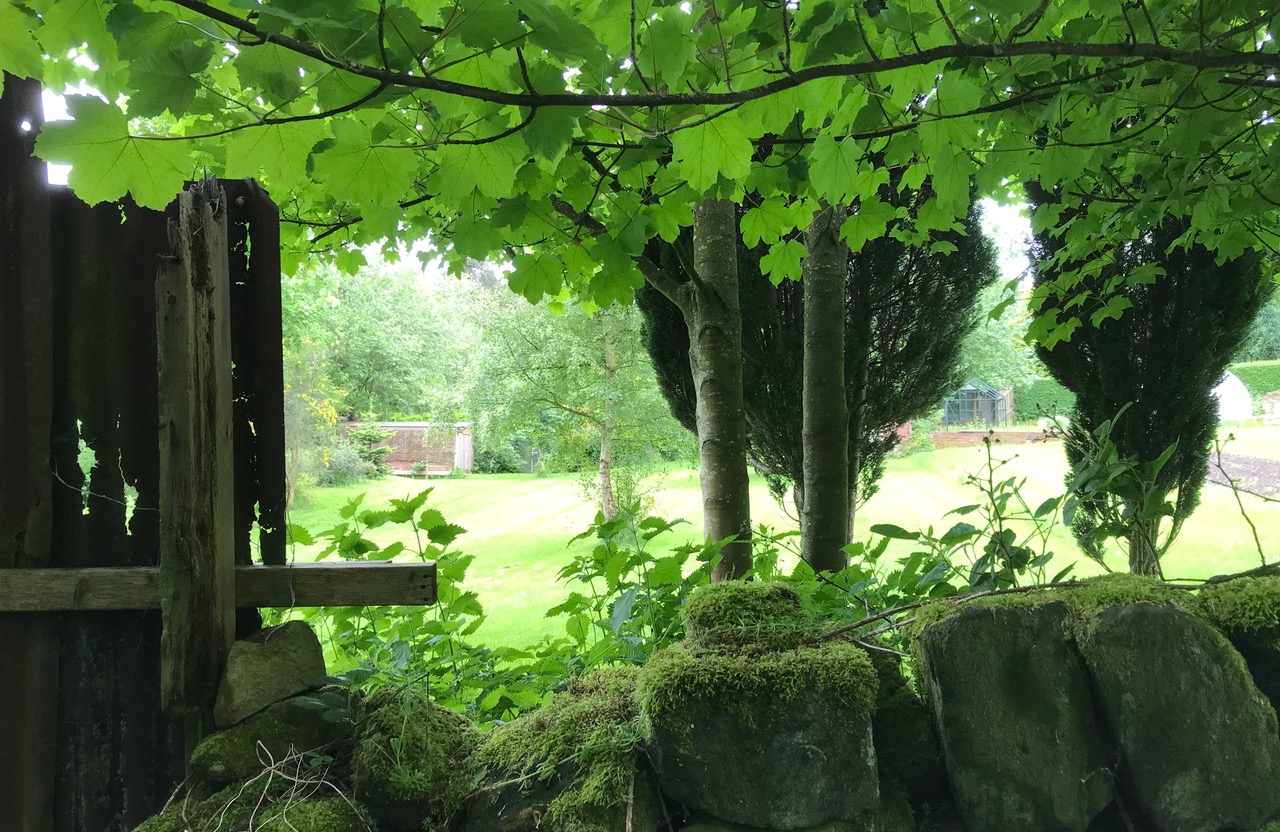 Fwd: Chris – Wadsley Common			
					</div><!-- .entry-content -->
		
		<footer>
		
		
		
					
					</footer><!-- .entry-meta -->
	</article><!-- #post -->
				
											
				
		
<hr class=