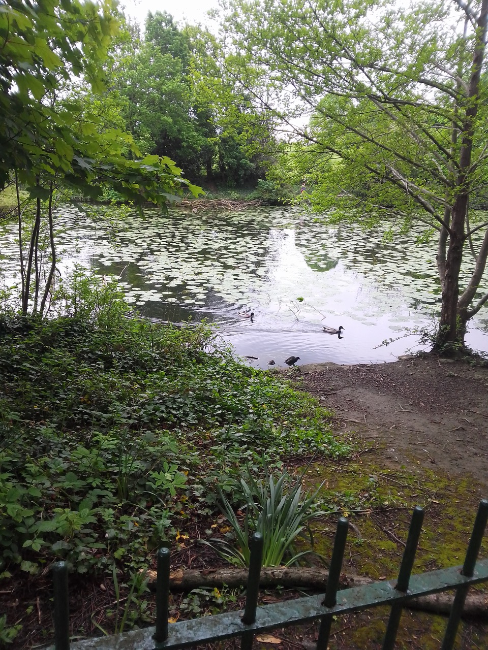 Fwd: Graves park			
					</div><!-- .entry-content -->
		
		<footer>
		
		
		
					
					</footer><!-- .entry-meta -->
	</article><!-- #post -->
				
											
				
		
<hr class=
