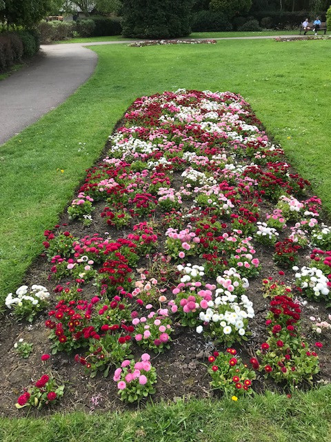 Fwd: Millhouses Park			
					</div><!-- .entry-content -->
		
		<footer>
		
		
		
					
					</footer><!-- .entry-meta -->
	</article><!-- #post -->
				
											
				
		
<hr class=
