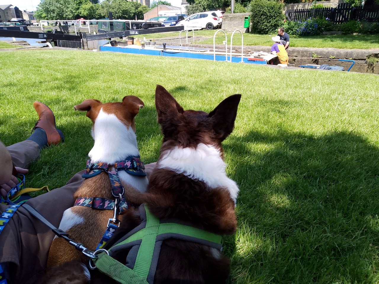 Fwd: Sarah bark… Brighouse canal boat			
					</div><!-- .entry-content -->
		
		<footer>
		
		
		
					
					</footer><!-- .entry-meta -->
	</article><!-- #post -->
				
											
				
		
<hr class=
