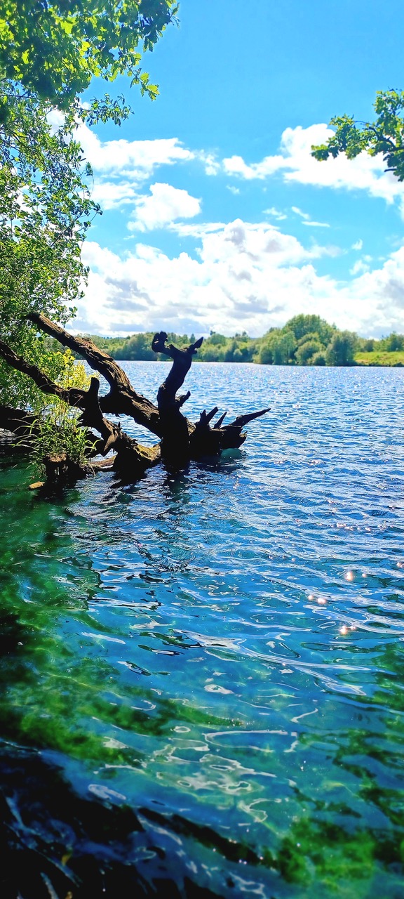Fwd: By Markius Maximus – Treeton Dyke			
					</div><!-- .entry-content -->
		
		<footer>
		
		
		
					
					</footer><!-- .entry-meta -->
	</article><!-- #post -->
				
											
				
		
<hr class=