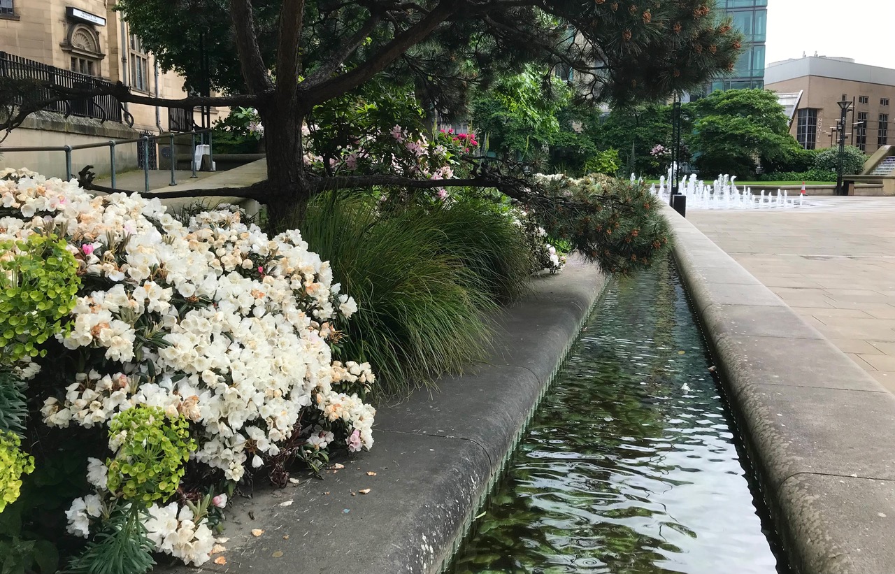 Fwd: Chris – Peace Gardens			
					</div><!-- .entry-content -->
		
		<footer>
		
		
		
					
					</footer><!-- .entry-meta -->
	</article><!-- #post -->
				
											
				
		
<hr class=