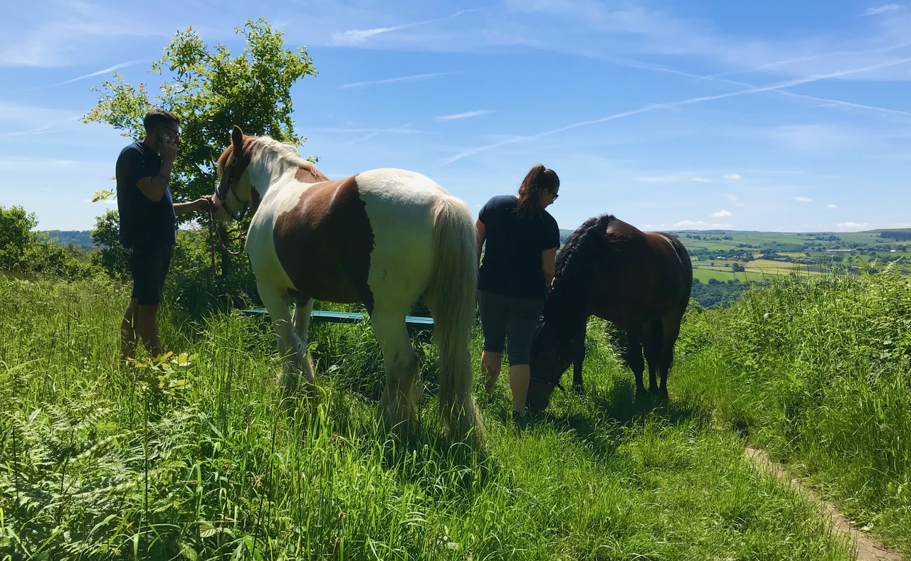 Fwd: Chris – Wadsley Common			
					</div><!-- .entry-content -->
		
		<footer>
		
		
		
					
					</footer><!-- .entry-meta -->
	</article><!-- #post -->
				
											
				
		
<hr class=