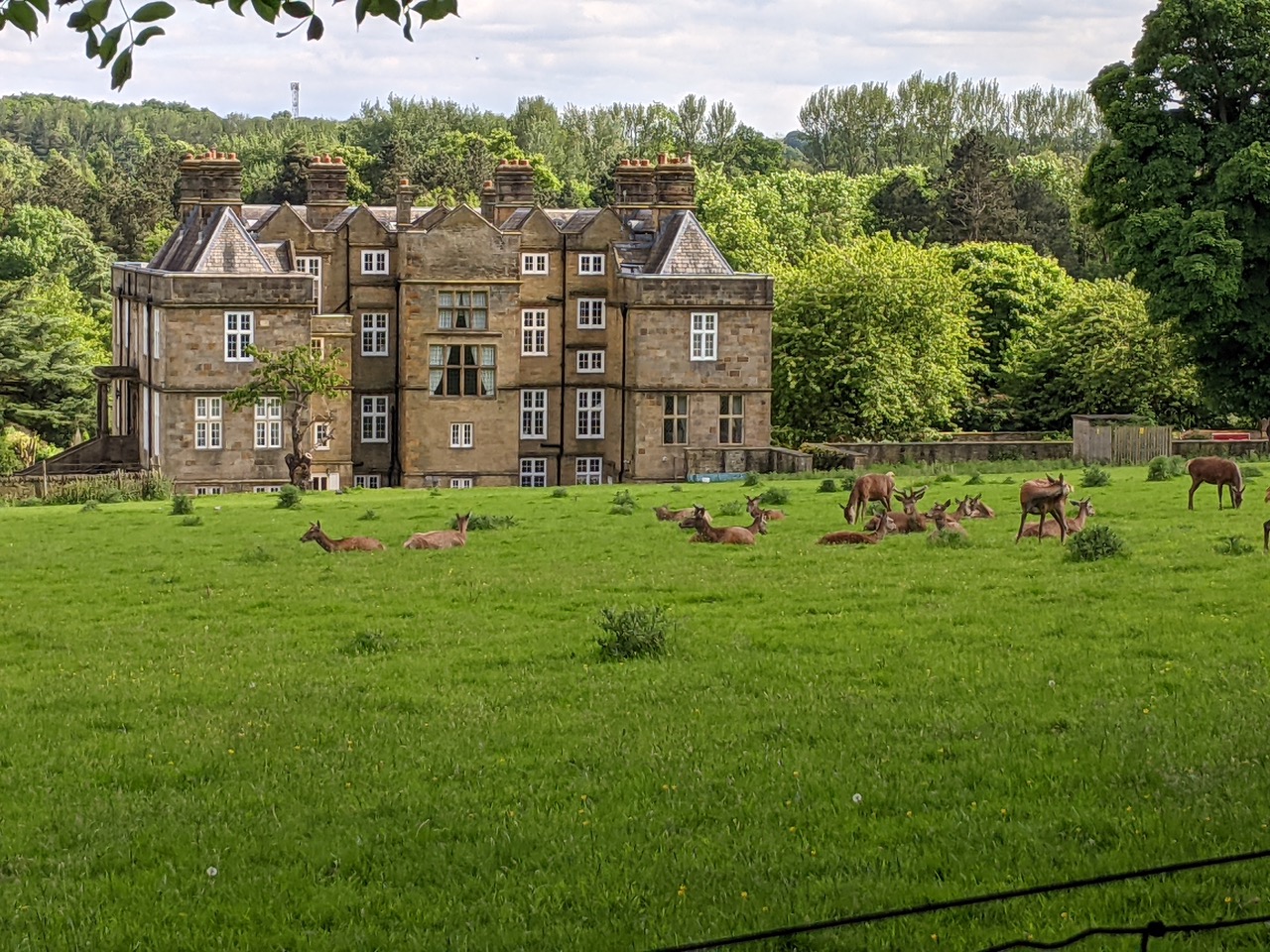 Fwd: Beauchief Hall			
					</div><!-- .entry-content -->
		
		<footer>
		
		
		
					
					</footer><!-- .entry-meta -->
	</article><!-- #post -->
				
											
				
		
<hr class=