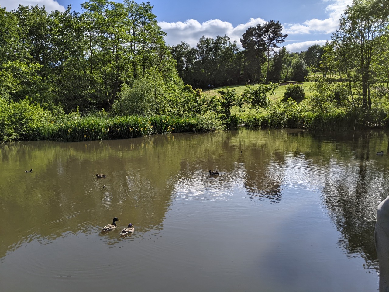 Fwd: Beauchief ponds			
					</div><!-- .entry-content -->
		
		<footer>
		
		
		
					
					</footer><!-- .entry-meta -->
	</article><!-- #post -->
				
											
				
		
<hr class=