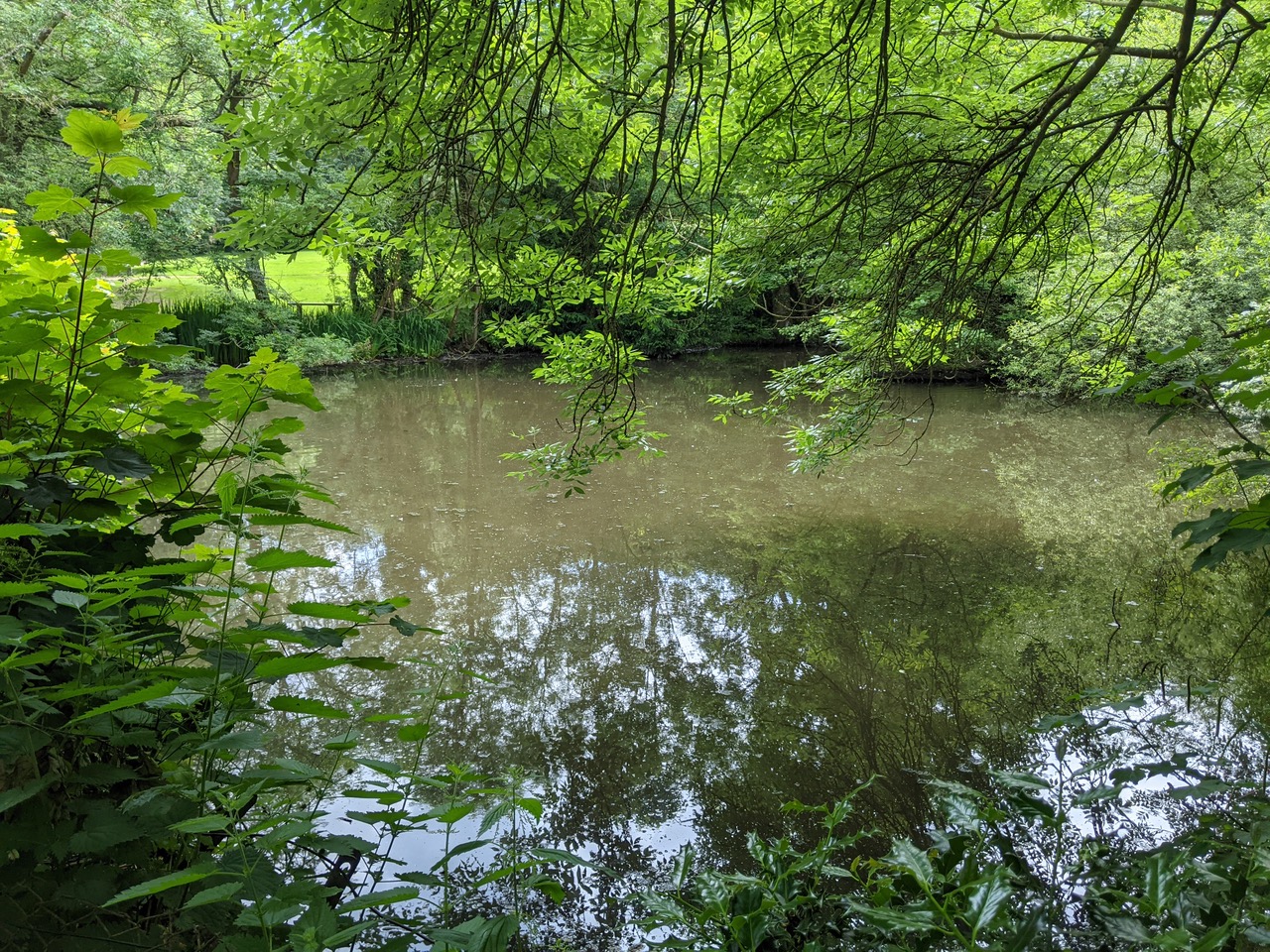 Fwd: Beauchief pond			
					</div><!-- .entry-content -->
		
		<footer>
		
		
		
					
					</footer><!-- .entry-meta -->
	</article><!-- #post -->
				
											
				
		
<hr class=