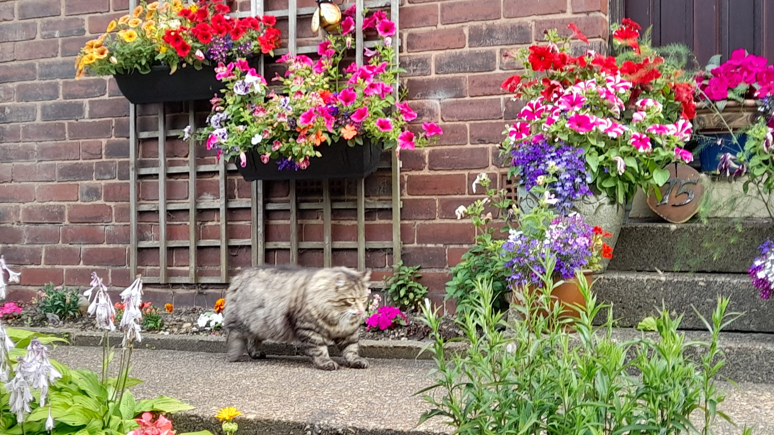 Fwd: Gail Ellis, stop and smell the flowers.			
					</div><!-- .entry-content -->
		
		<footer>
		
		
		
					
					</footer><!-- .entry-meta -->
	</article><!-- #post -->
				
											
				
		
<hr class=