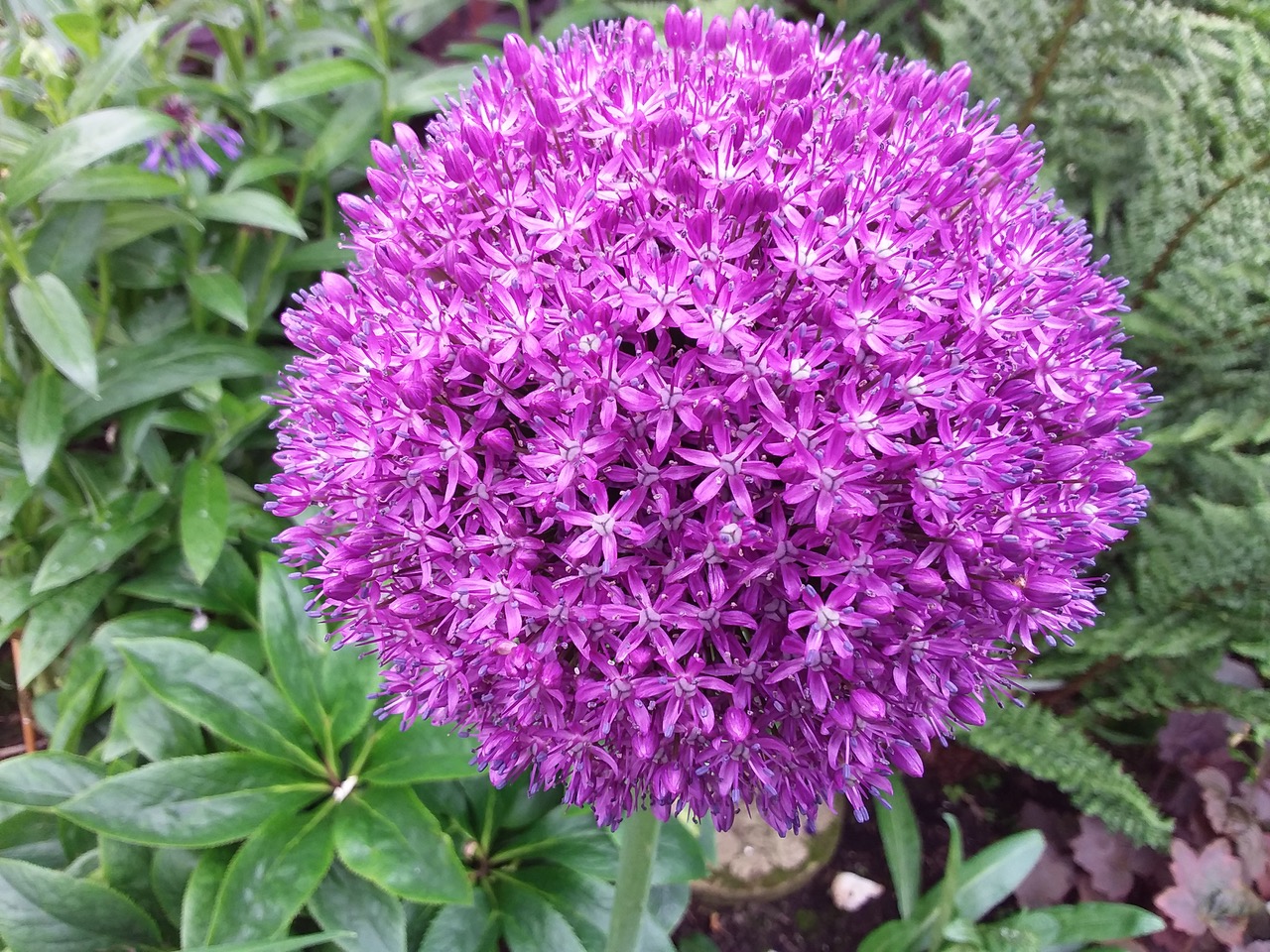 Fwd: Photos			
					</div><!-- .entry-content -->
		
		<footer>
		
		
		
					
					</footer><!-- .entry-meta -->
	</article><!-- #post -->
				
											
				
		
<hr class=