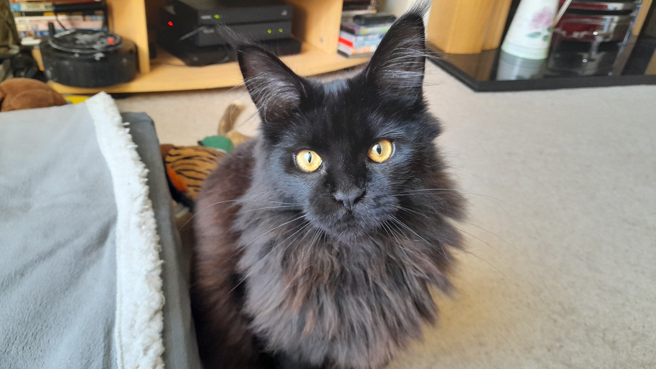 Fwd: Gail Ellis, Mazikeen			
					</div><!-- .entry-content -->
		
		<footer>
		
		
		
					
					</footer><!-- .entry-meta -->
	</article><!-- #post -->
				
											
				
		
<hr class=