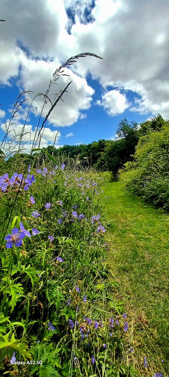 Fwd: By Markius Maximus – Blackburn Meadows Nature Reserve.			
					</div><!-- .entry-content -->
		
		<footer>
		
		
		
					
					</footer><!-- .entry-meta -->
	</article><!-- #post -->
				
											
				
		
<hr class=