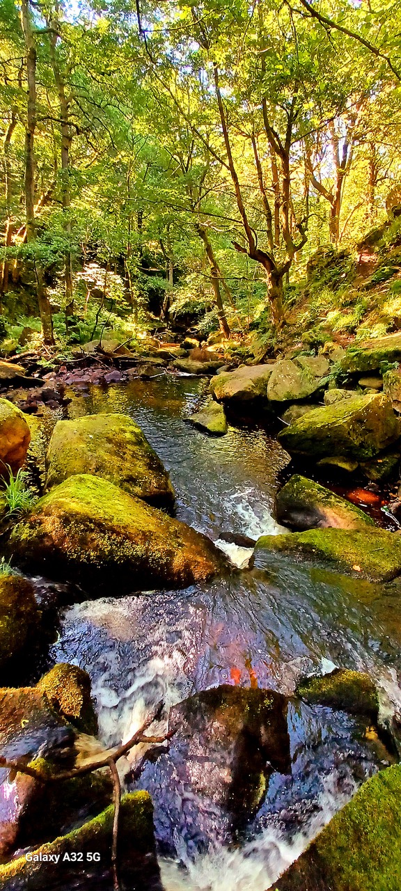Fwd: By Markius Maximus – Padley Gorge			
					</div><!-- .entry-content -->
		
		<footer>
		
		
		
					
					</footer><!-- .entry-meta -->
	</article><!-- #post -->
				
											
				
		
<hr class=