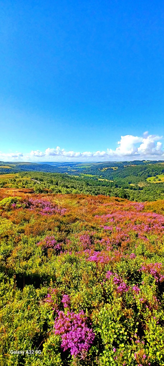 Fwd: By Markius Maximus – Millstone Edge			
					</div><!-- .entry-content -->
		
		<footer>
		
		
		
					
					</footer><!-- .entry-meta -->
	</article><!-- #post -->
				
											
				
		
<hr class=