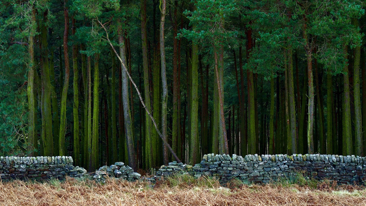 Fwd: Ladybower, Derwent			
					</div><!-- .entry-content -->
		
		<footer>
		
		
		
					
					</footer><!-- .entry-meta -->
	</article><!-- #post -->
				
											
				
		
<hr class=