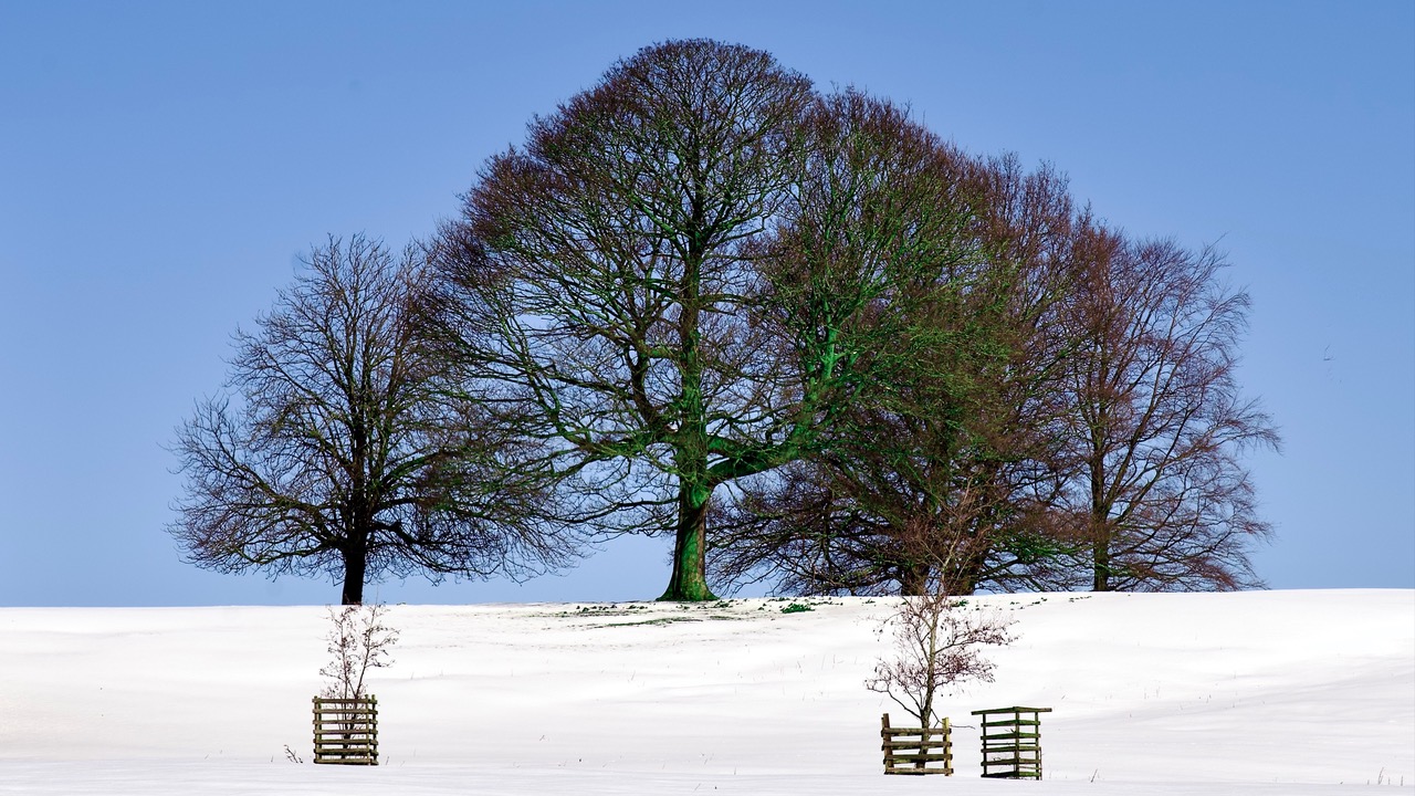 Fwd: Wentworth House Grounds			
					</div><!-- .entry-content -->
		
		<footer>
		
		
		
					
					</footer><!-- .entry-meta -->
	</article><!-- #post -->
				
											
				
		
<hr class=