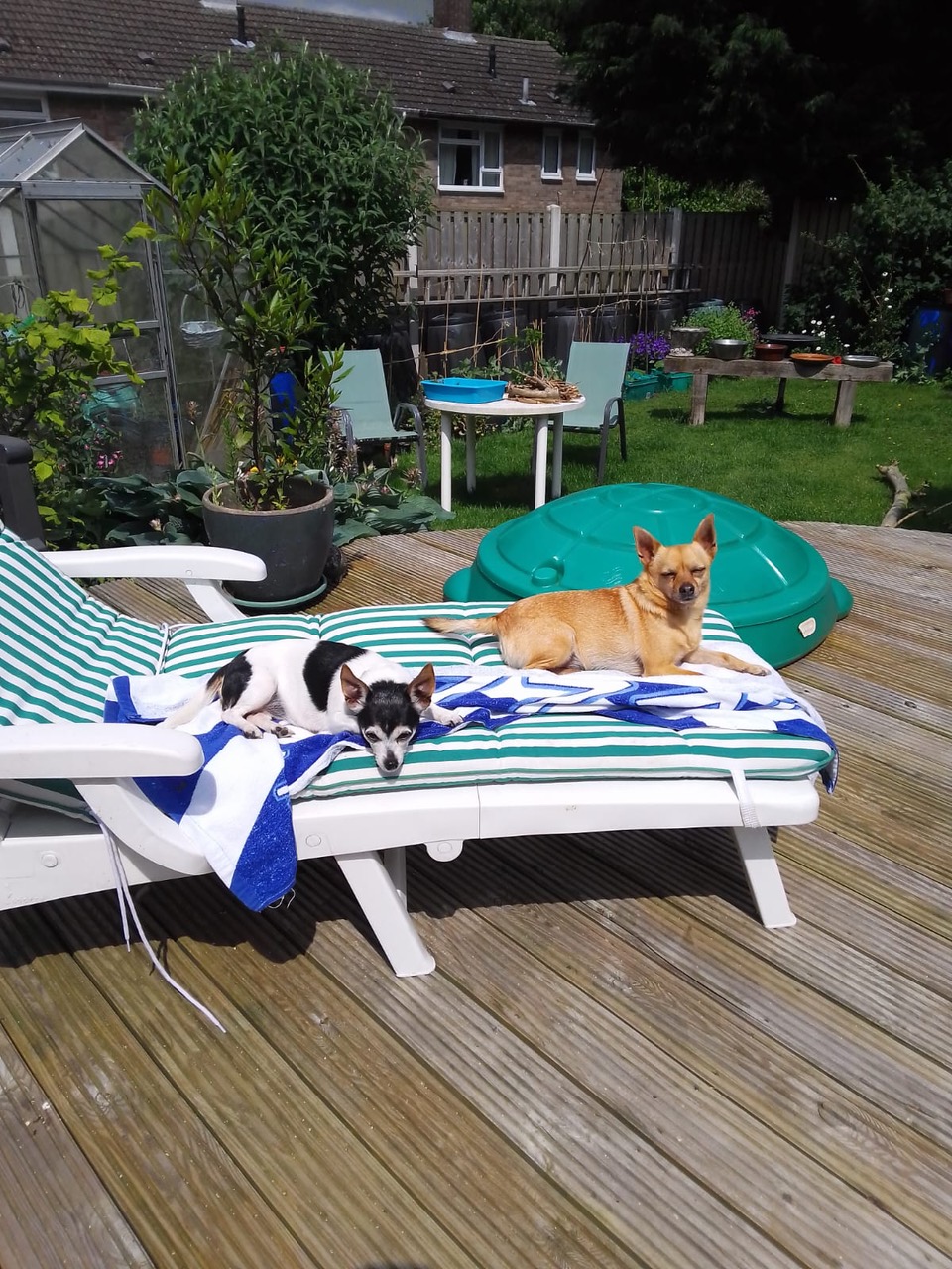 Fwd: The sun bathers			
					</div><!-- .entry-content -->
		
		<footer>
		
		
		
					
					</footer><!-- .entry-meta -->
	</article><!-- #post -->
				
											
				
		
<hr class=
