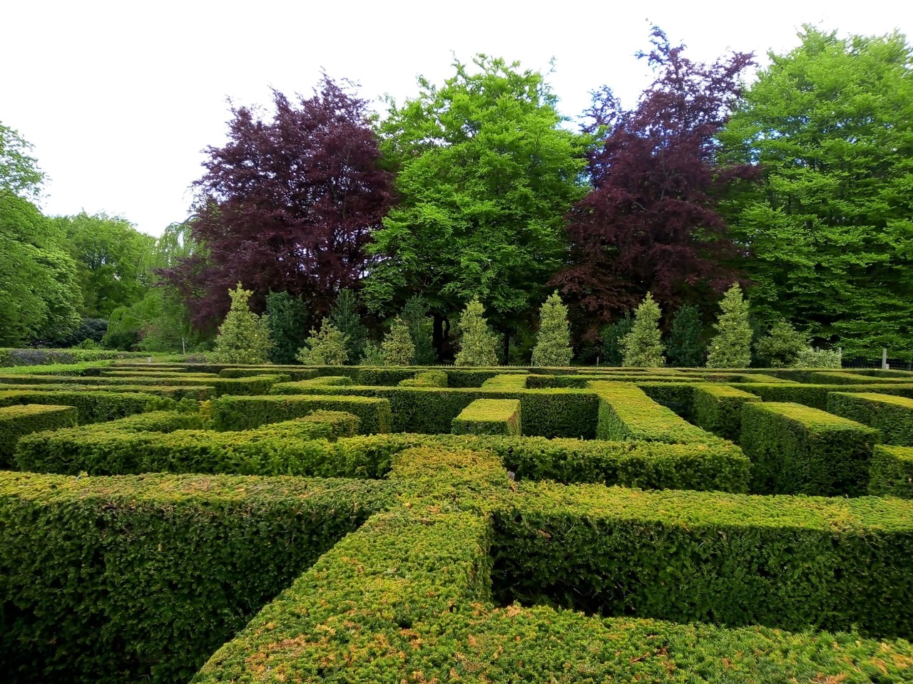 Fwd: Sarah bark.. Wentworth maze			
					</div><!-- .entry-content -->
		
		<footer>
		
		
		
					
					</footer><!-- .entry-meta -->
	</article><!-- #post -->
				
											
				
		
<hr class=