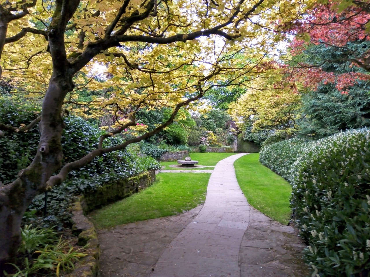 Fwd: Sarah bark.. Wentworth gardens			
					</div><!-- .entry-content -->
		
		<footer>
		
		
		
					
					</footer><!-- .entry-meta -->
	</article><!-- #post -->
				
											
				
		
<hr class=
