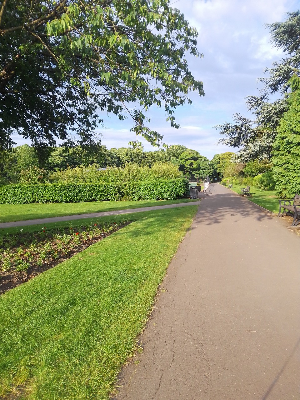 Fwd: Graves park			
					</div><!-- .entry-content -->
		
		<footer>
		
		
		
					
					</footer><!-- .entry-meta -->
	</article><!-- #post -->
				
											
				
		
<hr class=