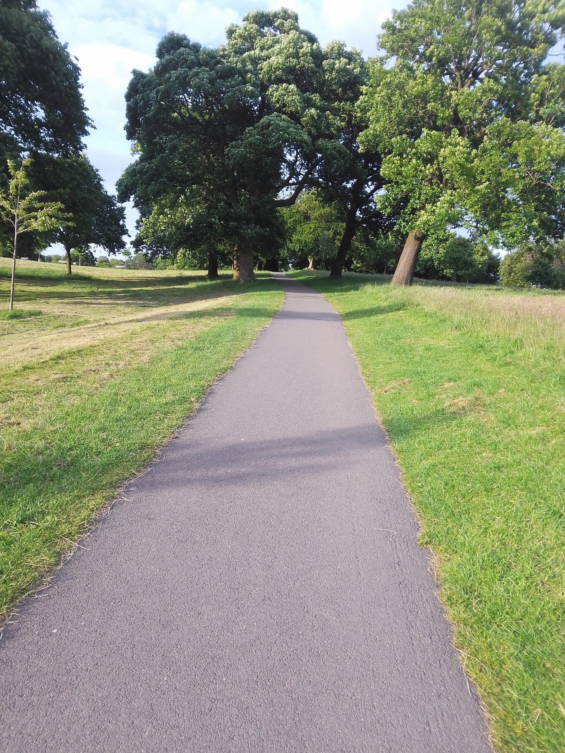 Fwd: Graves park			
					</div><!-- .entry-content -->
		
		<footer>
		
		
		
					
					</footer><!-- .entry-meta -->
	</article><!-- #post -->
				
											
				
		
<hr class=