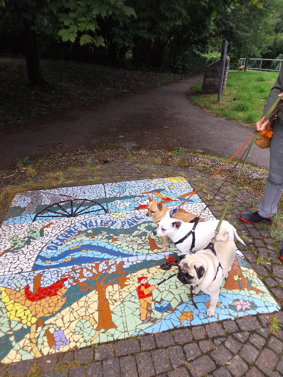 Fwd: Dearne Valley park			
					</div><!-- .entry-content -->
		
		<footer>
		
		
		
					
					</footer><!-- .entry-meta -->
	</article><!-- #post -->
				
											
				
		
<hr class=
