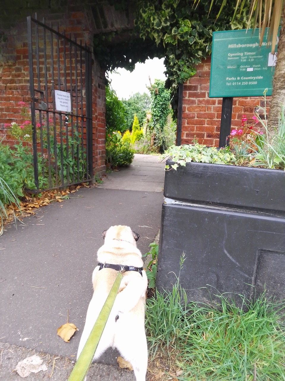 Fwd: Ollie at the walled garden Hillsborough park			
					</div><!-- .entry-content -->
		
		<footer>
		
		
		
					
					</footer><!-- .entry-meta -->
	</article><!-- #post -->
				
											
				
		
<hr class=