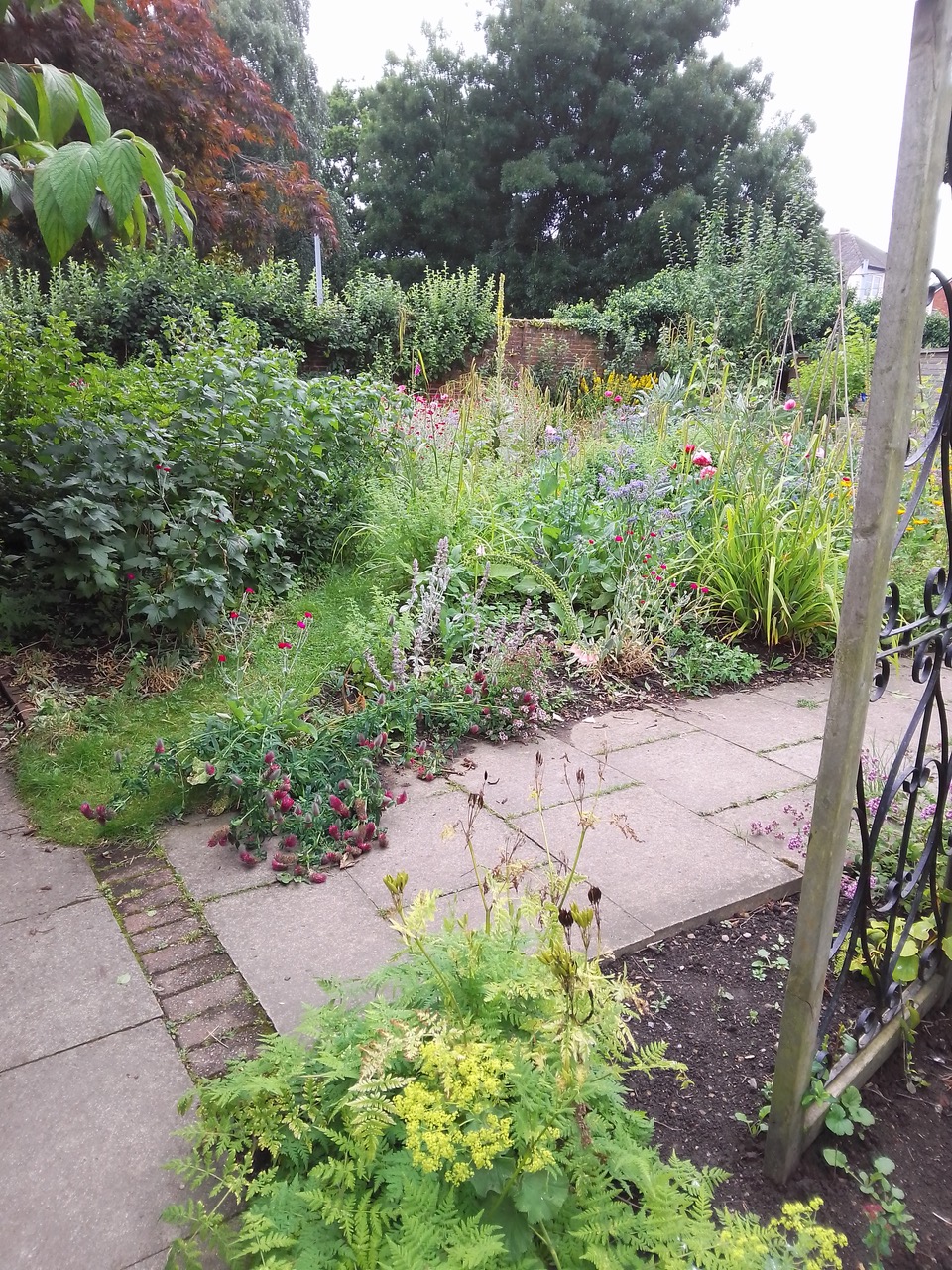 Fwd: The walled garden Hillsborough park			
					</div><!-- .entry-content -->
		
		<footer>
		
		
		
					
					</footer><!-- .entry-meta -->
	</article><!-- #post -->
				
											
				
		
<hr class=
