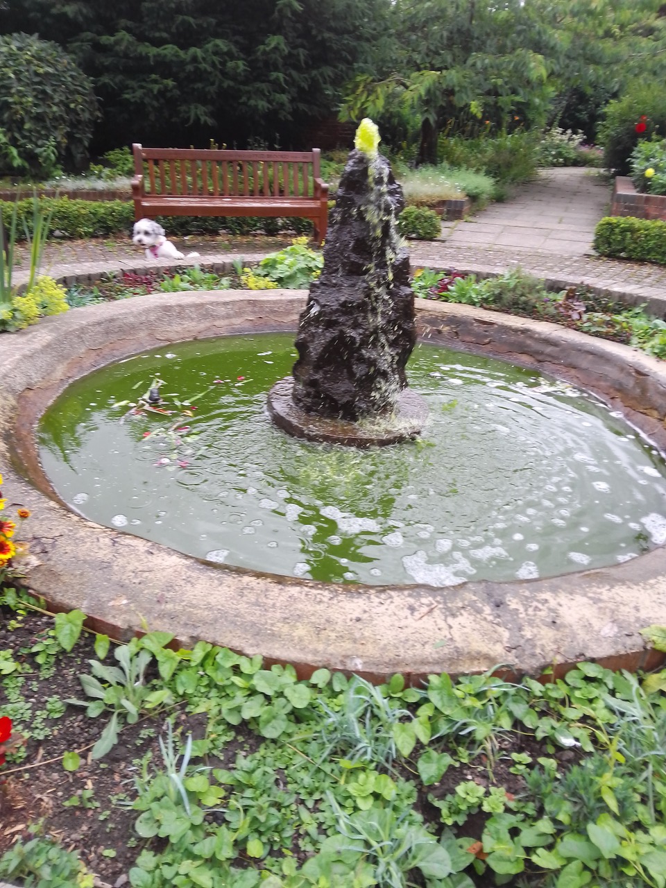 Fwd: The walled garden Hillsborough park			
					</div><!-- .entry-content -->
		
		<footer>
		
		
		
					
					</footer><!-- .entry-meta -->
	</article><!-- #post -->
				
											
				
		
<hr class=
