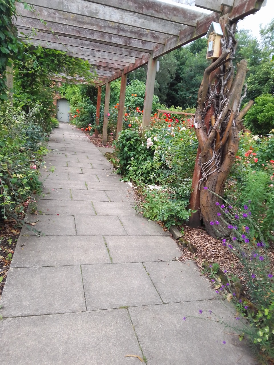Fwd: The walled garden Hillsborough park			
					</div><!-- .entry-content -->
		
		<footer>
		
		
		
					
					</footer><!-- .entry-meta -->
	</article><!-- #post -->
				
											
				
		
<hr class=