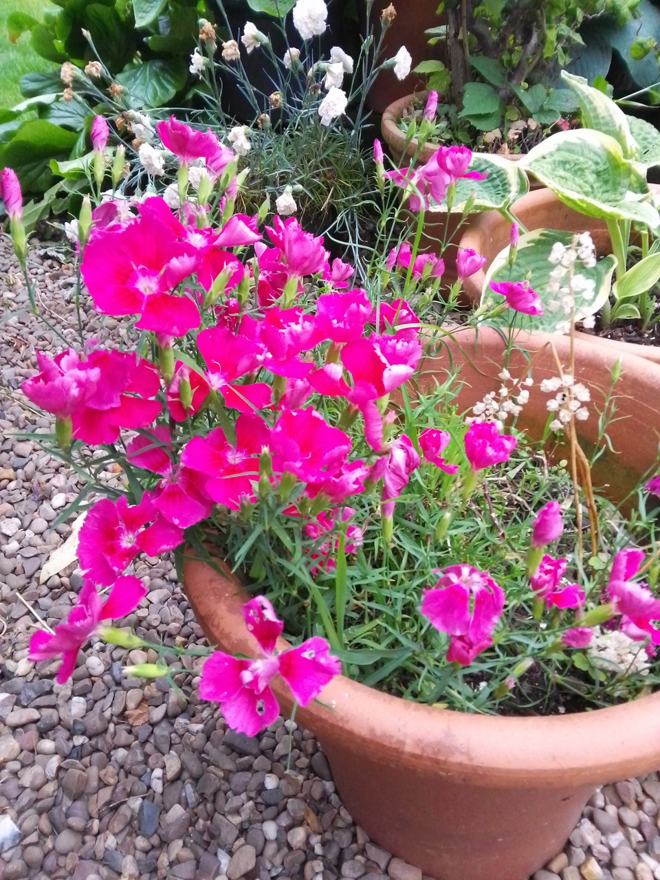 Fwd:			
					</div><!-- .entry-content -->
		
		<footer>
		
		
		
					
					</footer><!-- .entry-meta -->
	</article><!-- #post -->
				
											
				
		
<hr class=