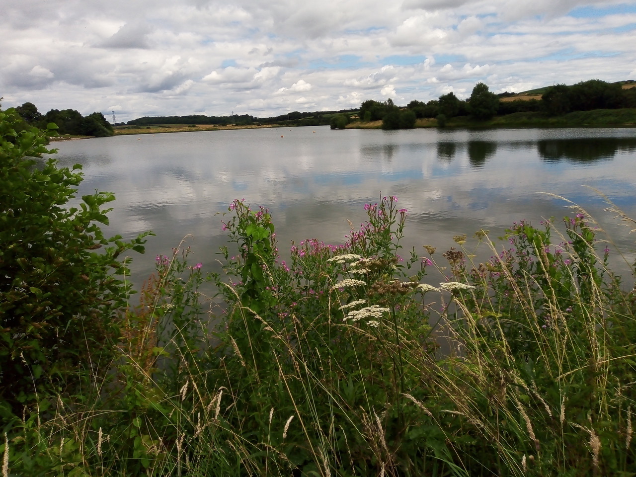 Fwd: Darren Bark…Thrybergh country park			
					</div><!-- .entry-content -->
		
		<footer>
		
		
		
					
					</footer><!-- .entry-meta -->
	</article><!-- #post -->
				
											
				
		
<hr class=