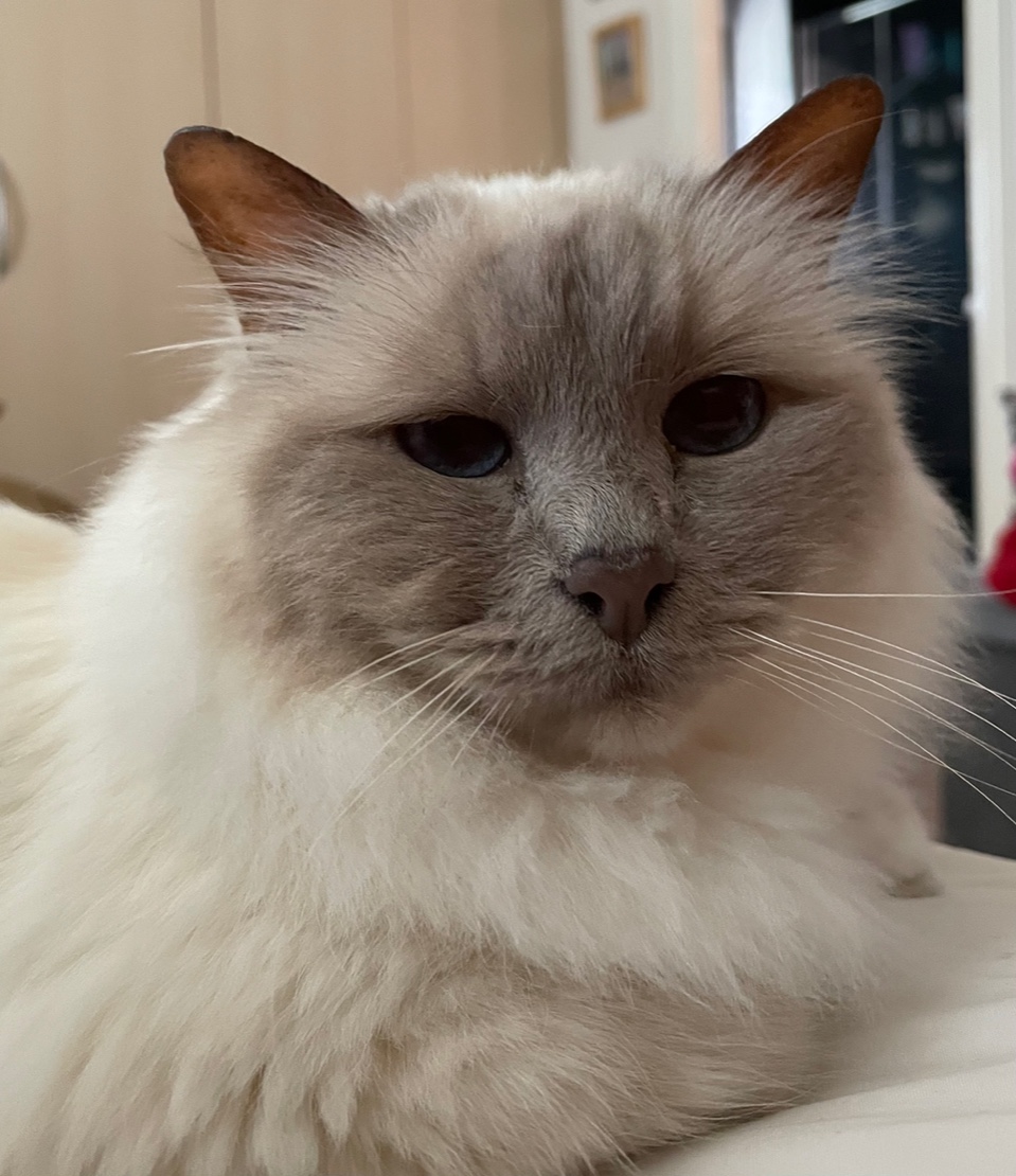 Fwd: Sookie – Angela Feetham			
					</div><!-- .entry-content -->
		
		<footer>
		
		
		
					
					</footer><!-- .entry-meta -->
	</article><!-- #post -->
				
											
				
		
<hr class=