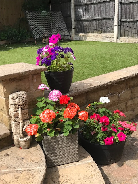 Fwd: Summer is here			
					</div><!-- .entry-content -->
		
		<footer>
		
		
		
					
					</footer><!-- .entry-meta -->
	</article><!-- #post -->
				
											
				
		
<hr class=