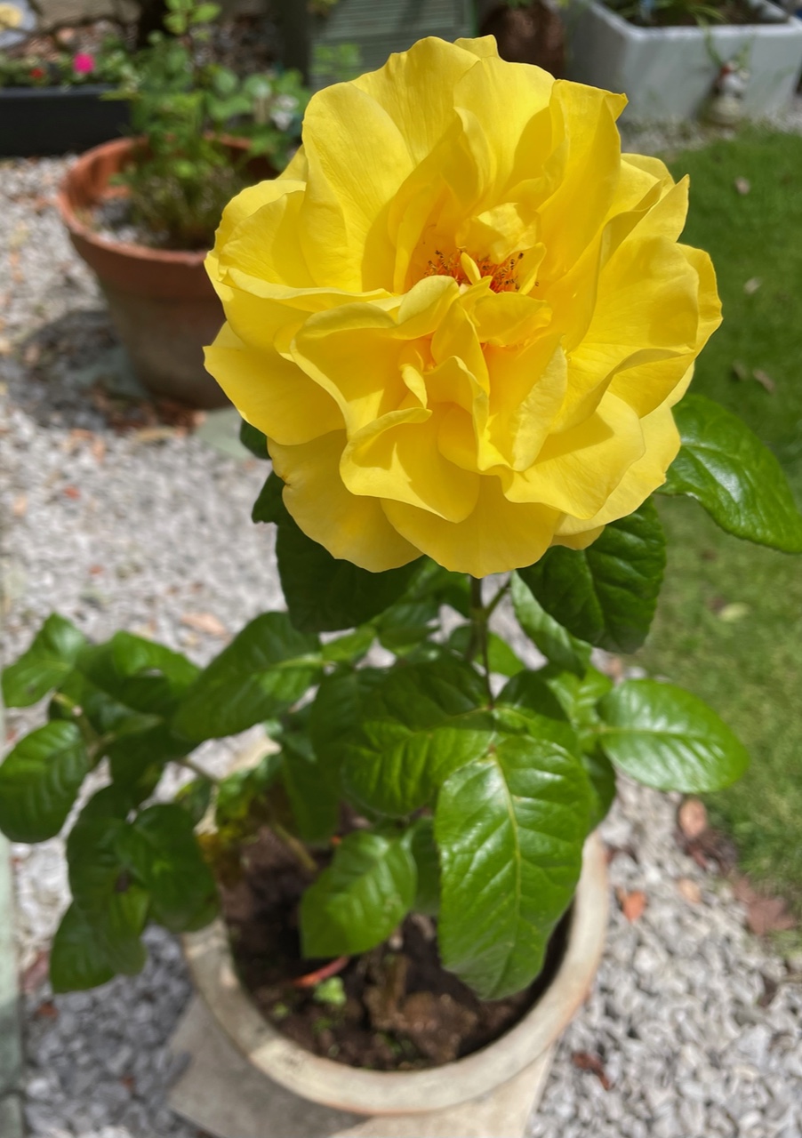 Fwd: Angela Feetham			
					</div><!-- .entry-content -->
		
		<footer>
		
		
		
					
					</footer><!-- .entry-meta -->
	</article><!-- #post -->
				
											
				
		
<hr class=