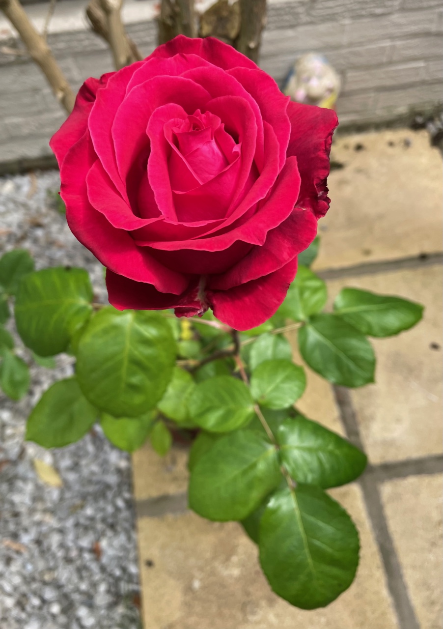 Fwd: Angela Feetham			
					</div><!-- .entry-content -->
		
		<footer>
		
		
		
					
					</footer><!-- .entry-meta -->
	</article><!-- #post -->
				
											
				
		
<hr class=