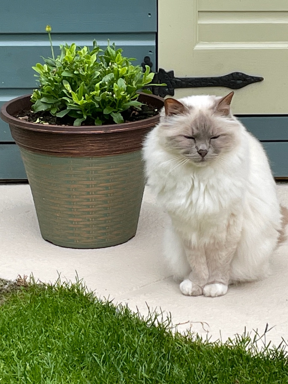 Fwd: Sookie – Angela Feetham			
					</div><!-- .entry-content -->
		
		<footer>
		
		
		
					
					</footer><!-- .entry-meta -->
	</article><!-- #post -->
				
											
				
		
<hr class=