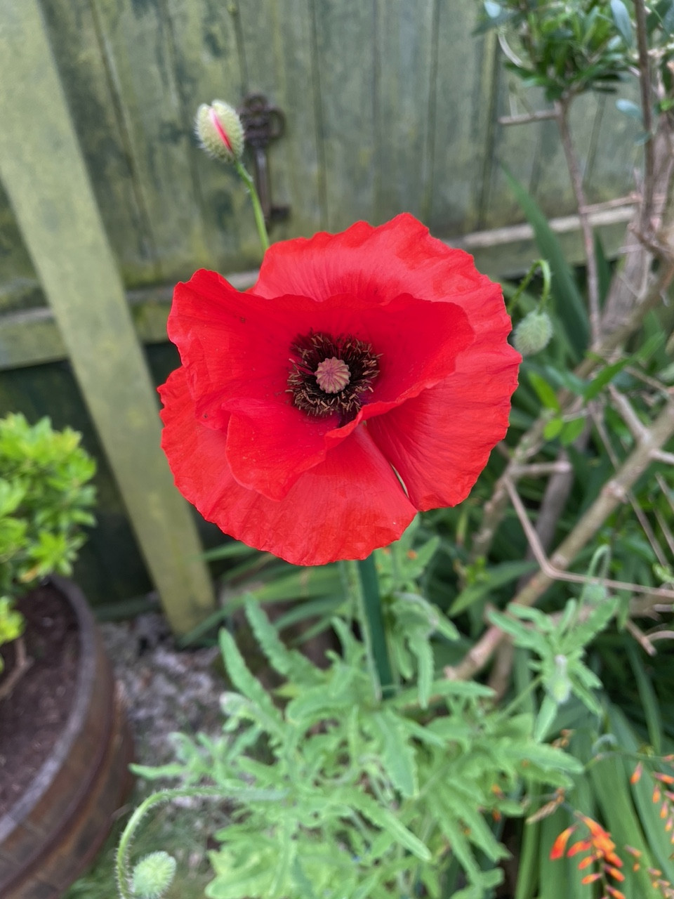 Fwd: Angela Feetham			
					</div><!-- .entry-content -->
		
		<footer>
		
		
		
					
					</footer><!-- .entry-meta -->
	</article><!-- #post -->
				
											
				
		
<hr class=