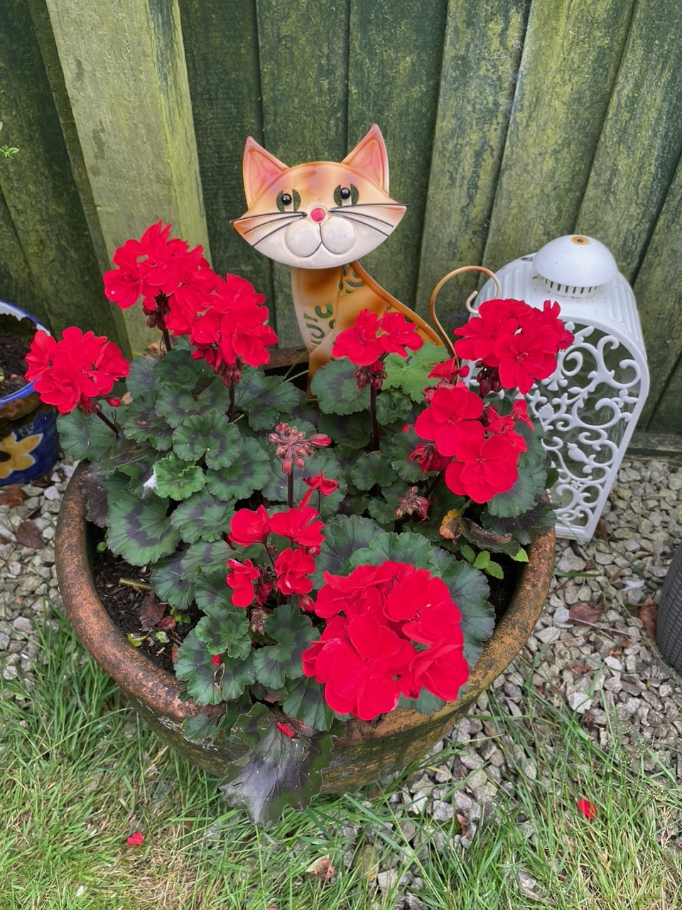 Fwd: Angela Feetham			
					</div><!-- .entry-content -->
		
		<footer>
		
		
		
					
					</footer><!-- .entry-meta -->
	</article><!-- #post -->
				
											
				
		
<hr class=