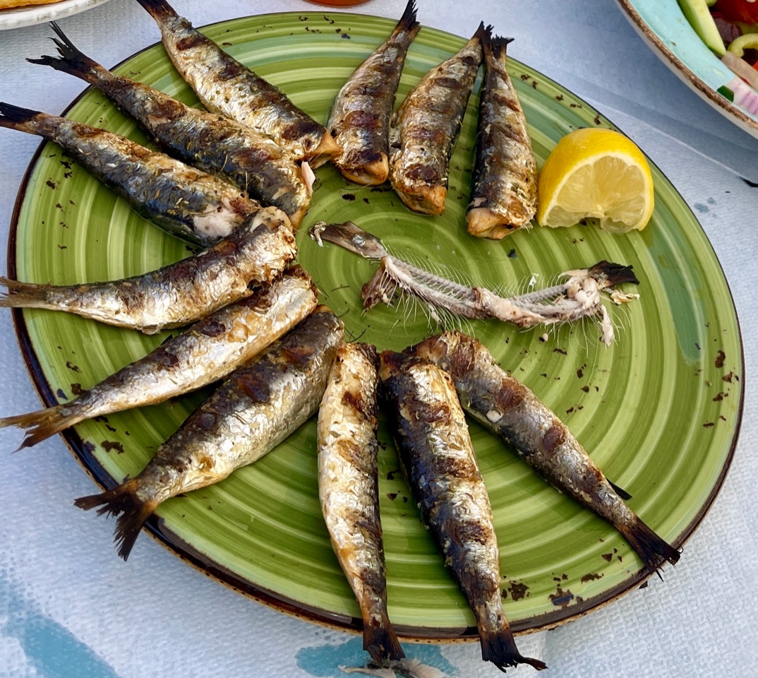 Fwd: Sardines, Puffins, Weathervane			
					</div><!-- .entry-content -->
		
		<footer>
		
		
		
					
					</footer><!-- .entry-meta -->
	</article><!-- #post -->
				
											
				
		
<hr class=