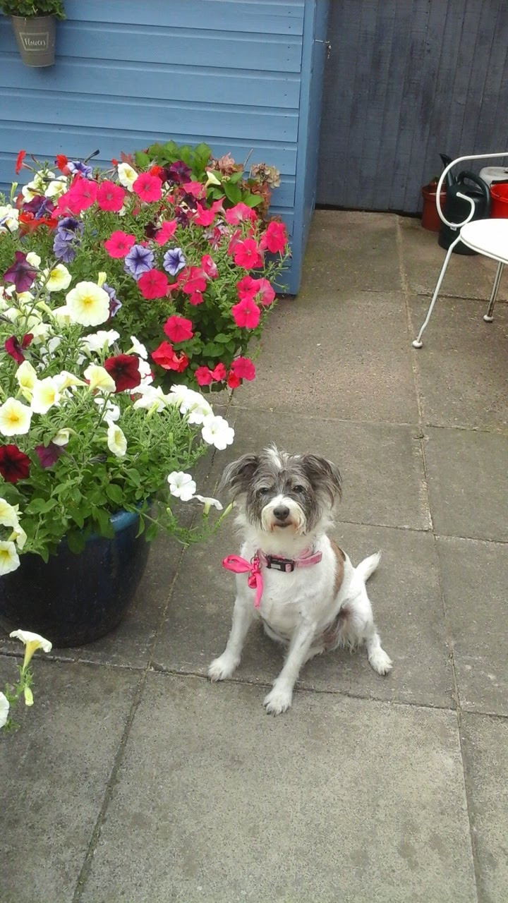 Fwd: MY BABY WHO IS NOW GONE 😥			
					</div><!-- .entry-content -->
		
		<footer>
		
		
		
					
					</footer><!-- .entry-meta -->
	</article><!-- #post -->
				
											
				
		
<hr class=
