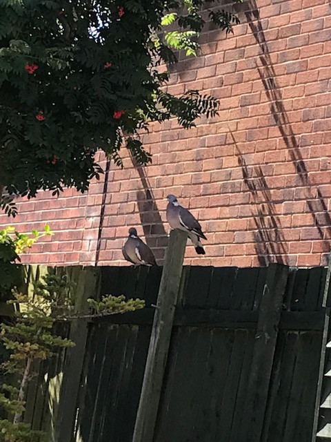 Fwd: Sunbathing			
					</div><!-- .entry-content -->
		
		<footer>
		
		
		
					
					</footer><!-- .entry-meta -->
	</article><!-- #post -->
				
											
				
		
<hr class=