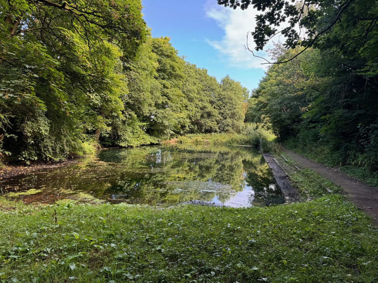 Fwd: Birley Spa by Reverend Malcolm Pywell			
					</div><!-- .entry-content -->
		
		<footer>
		
		
		
					
					</footer><!-- .entry-meta -->
	</article><!-- #post -->
				
											
				
		
<hr class=
