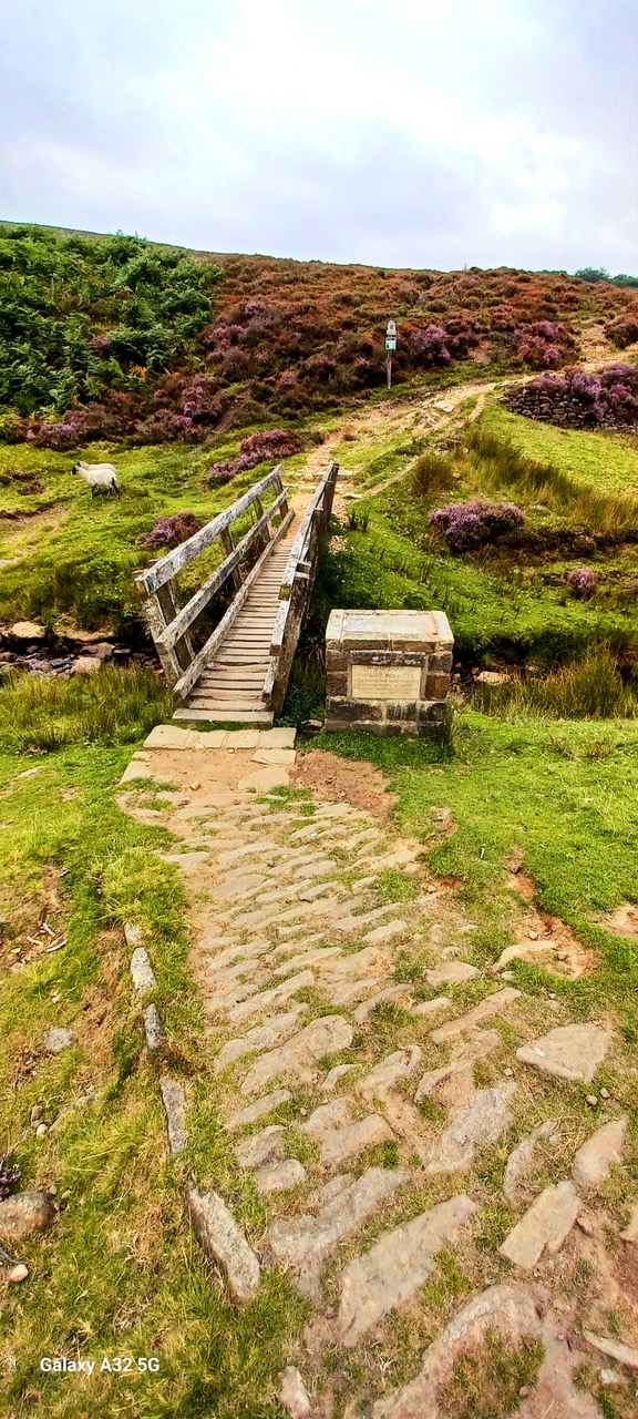 Fwd: By Markius Maximus- Hollingworth Clough			
					</div><!-- .entry-content -->
		
		<footer>
		
		
		
					
					</footer><!-- .entry-meta -->
	</article><!-- #post -->
				
											
				
		
<hr class=