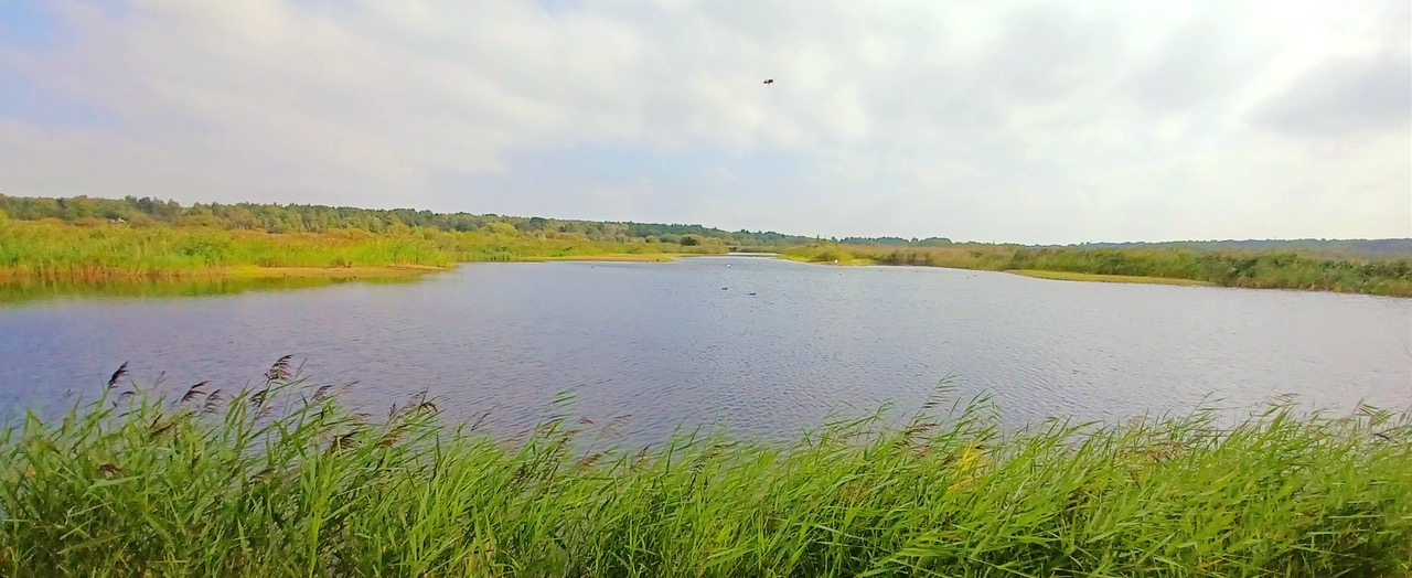 Fwd: By Markius Maximus – RSPB Old Moor			
					</div><!-- .entry-content -->
		
		<footer>
		
		
		
					
					</footer><!-- .entry-meta -->
	</article><!-- #post -->
				
											
				
		
<hr class=