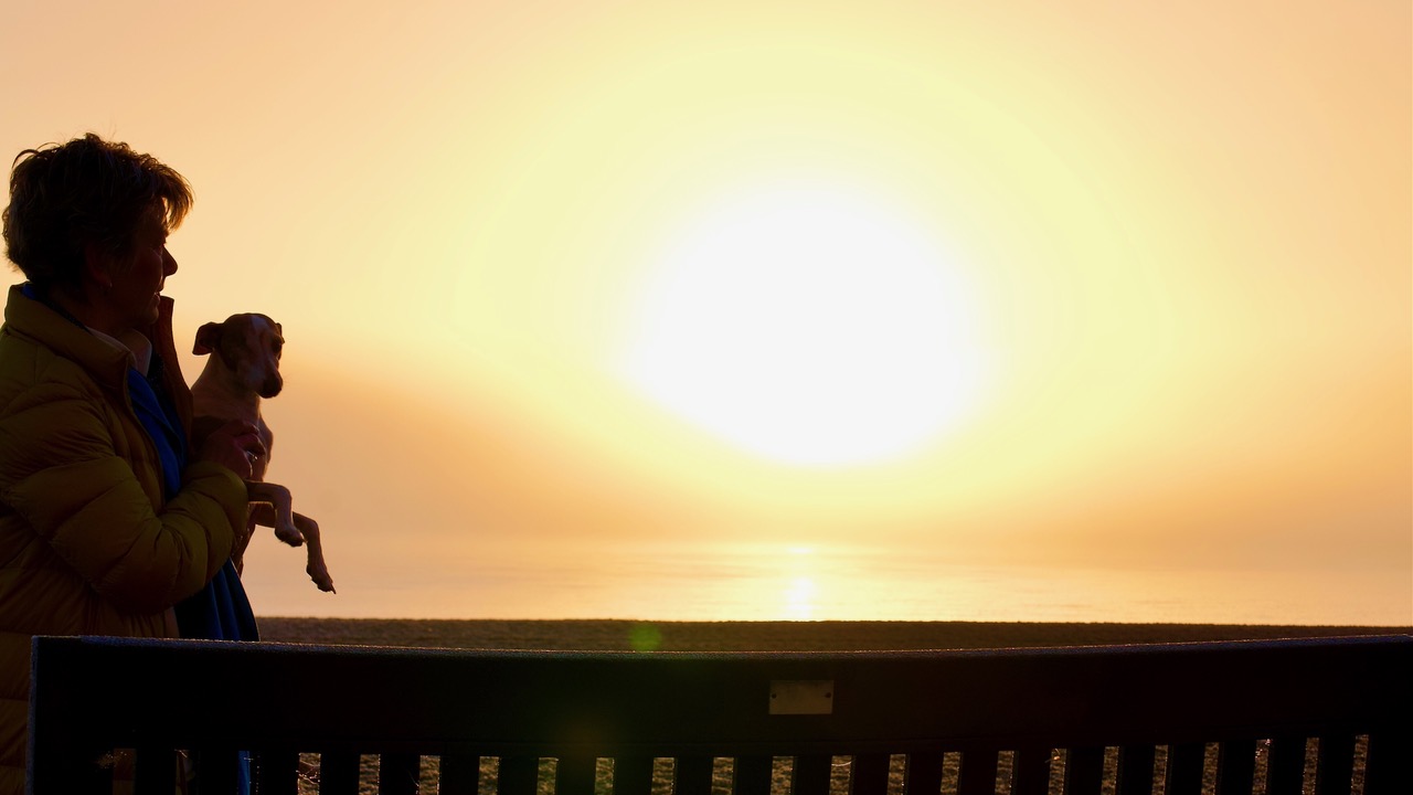 Fwd: Sunrise			
					</div><!-- .entry-content -->
		
		<footer>
		
		
		
					
					</footer><!-- .entry-meta -->
	</article><!-- #post -->
				
											
				
		
<hr class=