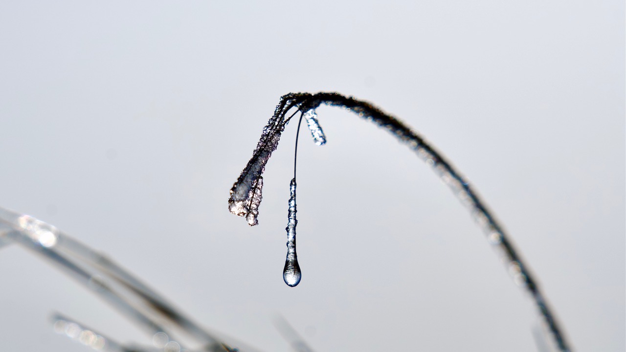 Fwd: Iced Dew Drop			
					</div><!-- .entry-content -->
		
		<footer>
		
		
		
					
					</footer><!-- .entry-meta -->
	</article><!-- #post -->
				
											
				
		
<hr class=