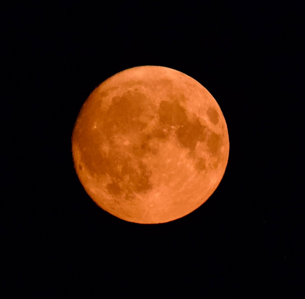 Fwd: Super moon over Chatsworth House			
					</div><!-- .entry-content -->
		
		<footer>
		
		
		
					
					</footer><!-- .entry-meta -->
	</article><!-- #post -->
				
											
				
		
<hr class=