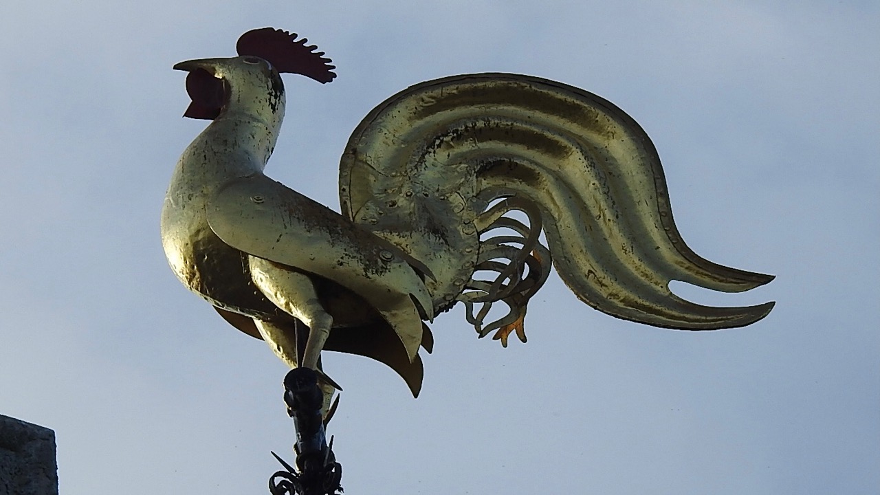 Fwd: Weather Cock on Rotherham Minster			
					</div><!-- .entry-content -->
		
		<footer>
		
		
		
					
					</footer><!-- .entry-meta -->
	</article><!-- #post -->
				
											
				
		
<hr class=