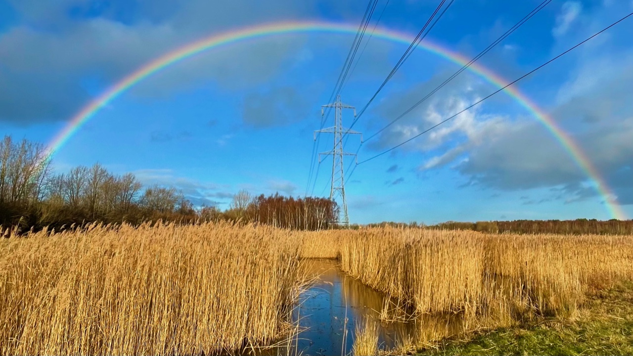 Fwd: RSPB Old Moor			
					</div><!-- .entry-content -->
		
		<footer>
		
		
		
					
					</footer><!-- .entry-meta -->
	</article><!-- #post -->
				
											
				
		
<hr class=