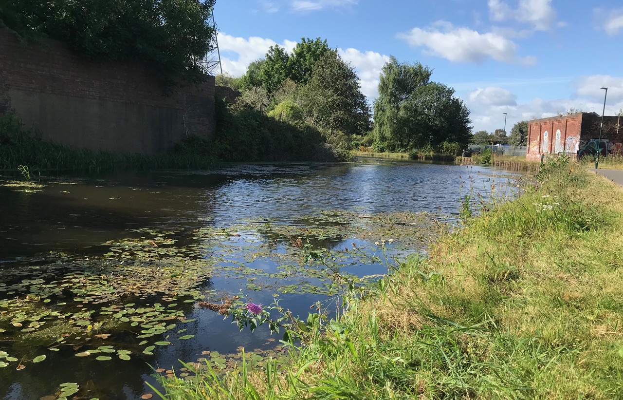 Fwd: Chris – Canal at Meadowhall			
					</div><!-- .entry-content -->
		
		<footer>
		
		
		
					
					</footer><!-- .entry-meta -->
	</article><!-- #post -->
				
											
				
		
<hr class=